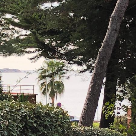 50M Plage T2 Grande Terrasse Vue Mer Climatise Piscine Chauffee, Parking Clos Gratuit Sanary-sur-Mer Buitenkant foto